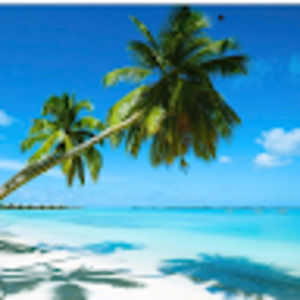 Meet your Posher, Georgia